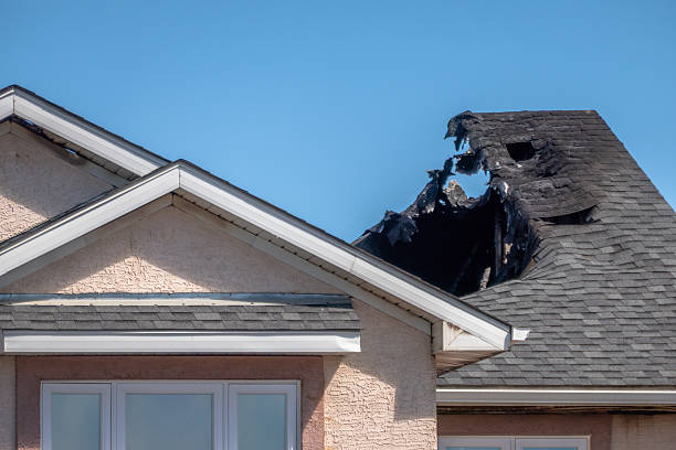 Top rated local Firefighting Water Removal specialists in Forest Lake, MN
